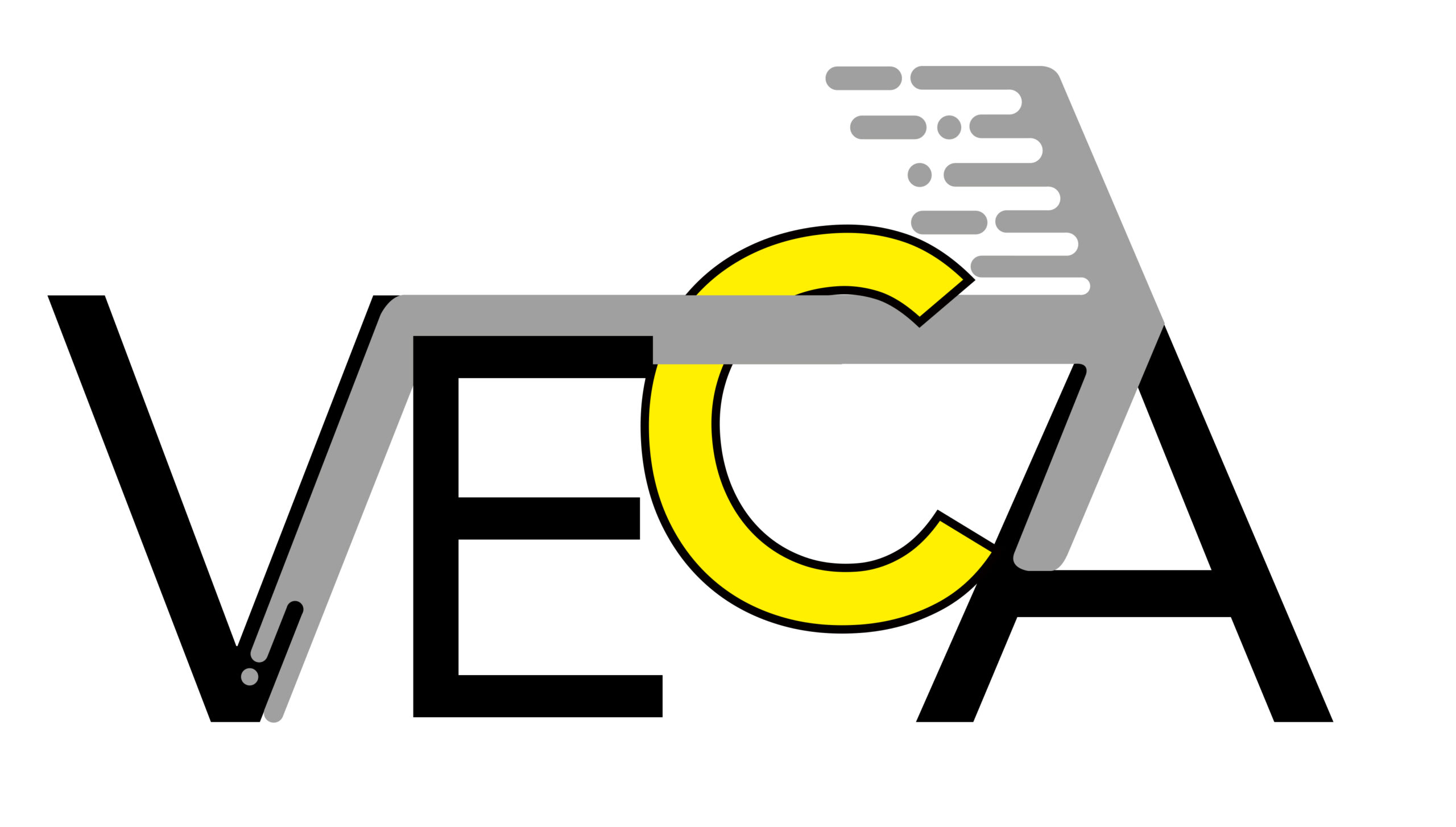 VECA LLC.